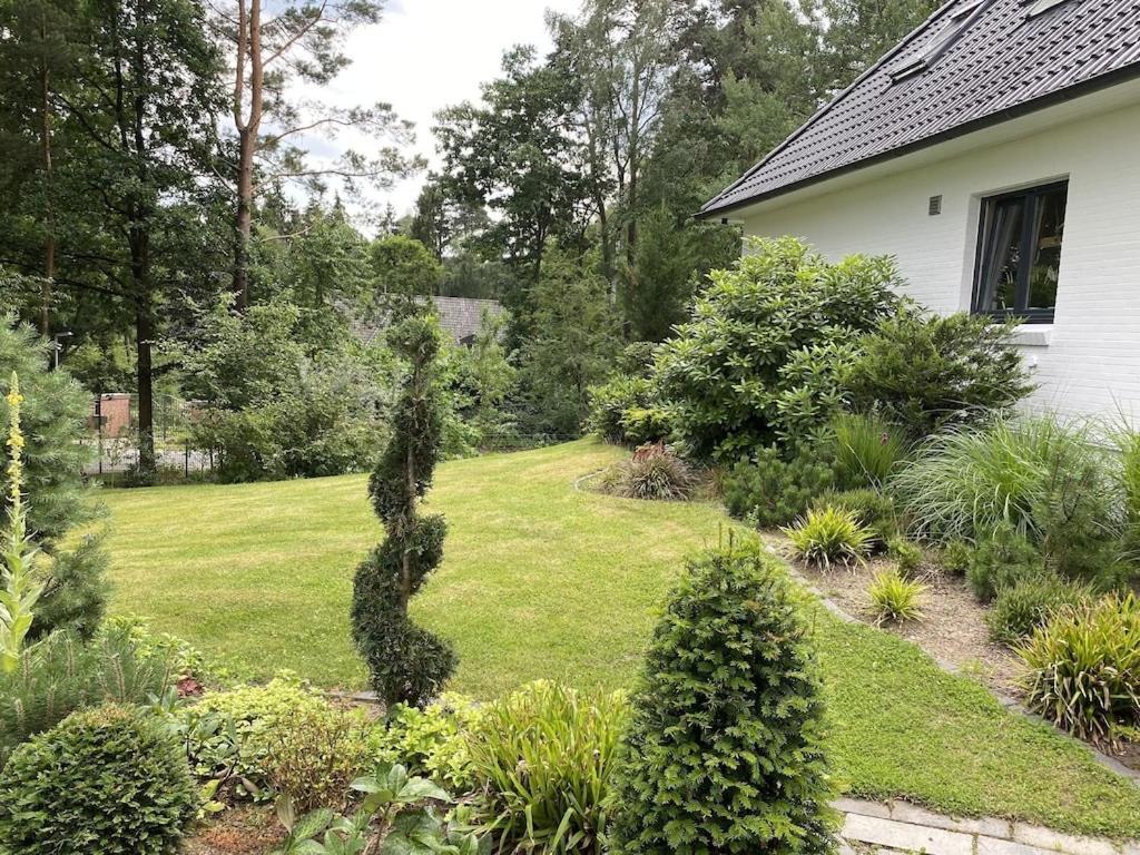 Ferienhaus Bendestorf, Waldweg 38,Naehe Hamburg Zewnętrze zdjęcie
