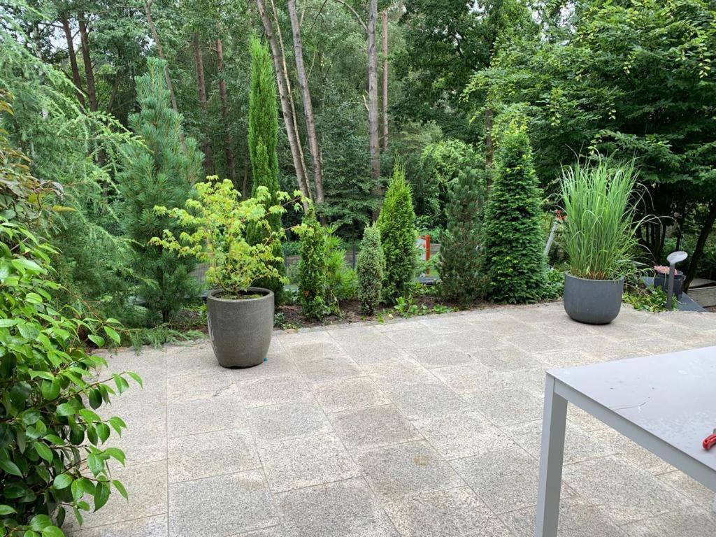 Ferienhaus Bendestorf, Waldweg 38,Naehe Hamburg Zewnętrze zdjęcie
