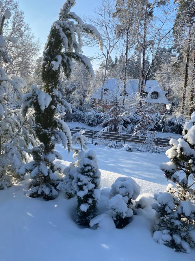Ferienhaus Bendestorf, Waldweg 38,Naehe Hamburg Zewnętrze zdjęcie